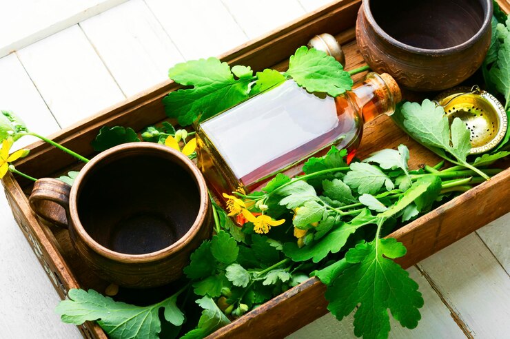 best store for Ayurvedic medicine